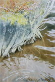 berges de ruisseau, peinture aquarelle