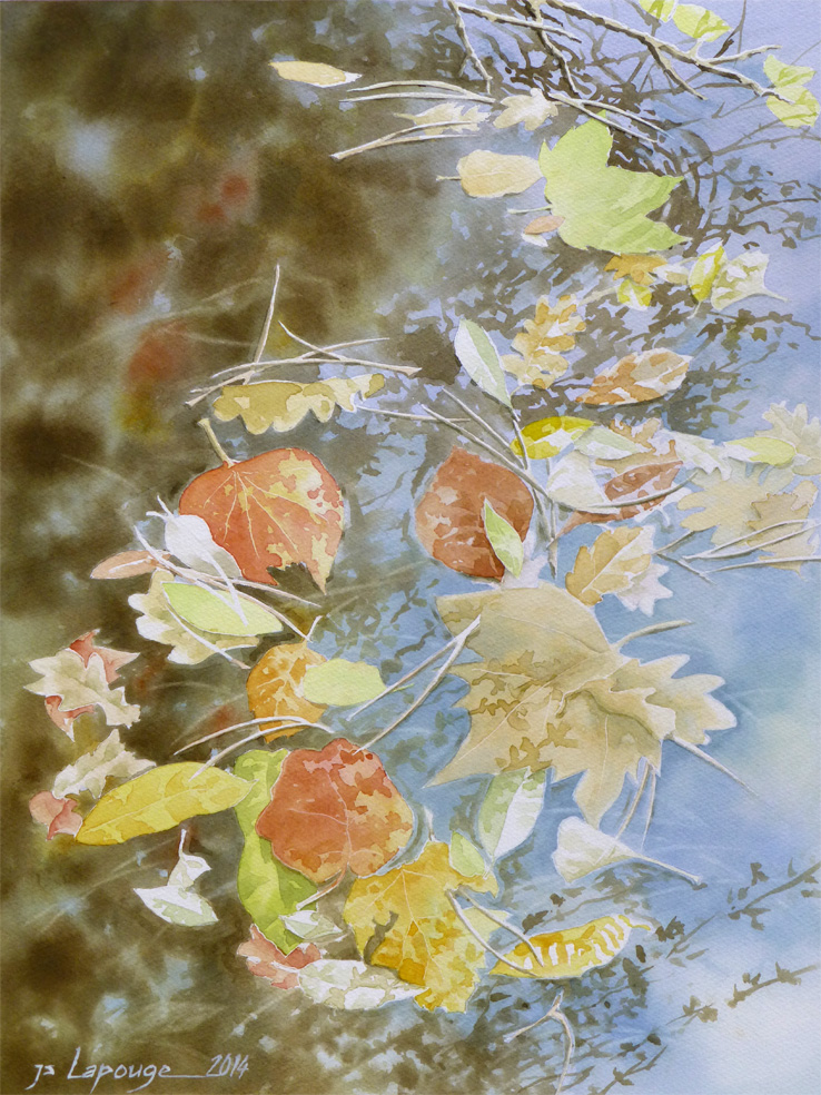 leaves floating on water, watercolors
