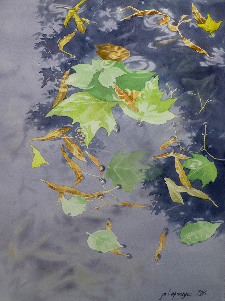 feuilles flottantes sur l'eau, 4, aquarelle