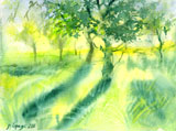 aquarellle, arbres et soleil
