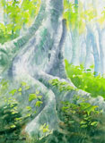 aquarelle racines arbre
