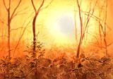 aquarelle soleil forêt enneigée