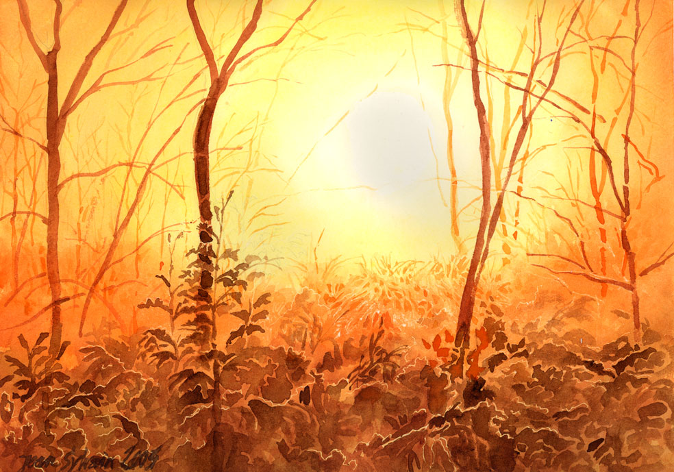 aquarelle, lever de soleil dans la forêt enneigée