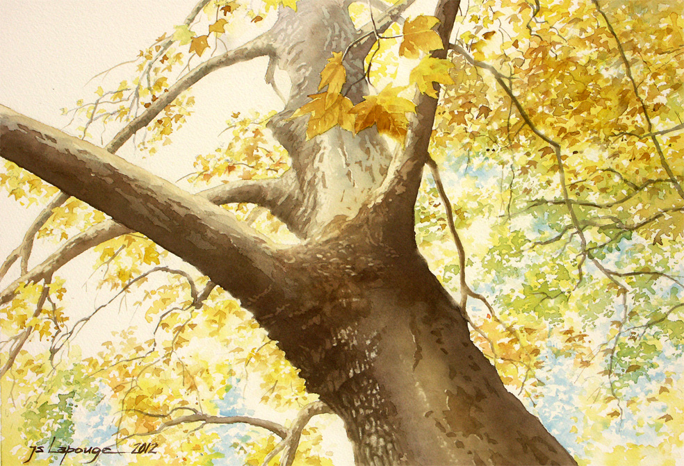 aquarelle, arbre au Bois de Boulogne