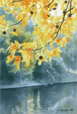 Automne sur lac, aquarelle