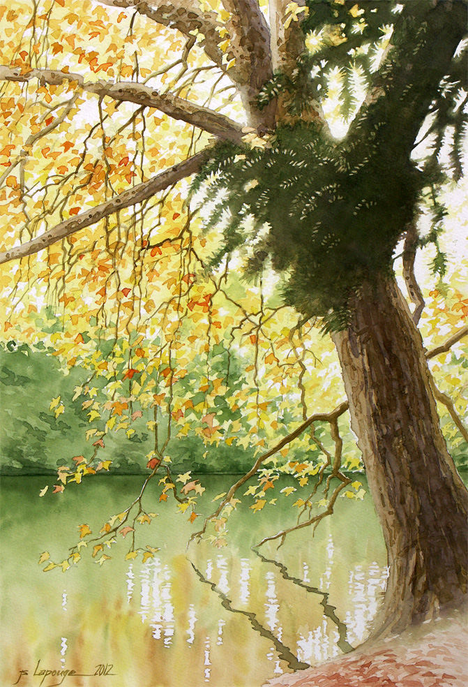 arbre au bord d'un  lac, peinture aquarelle