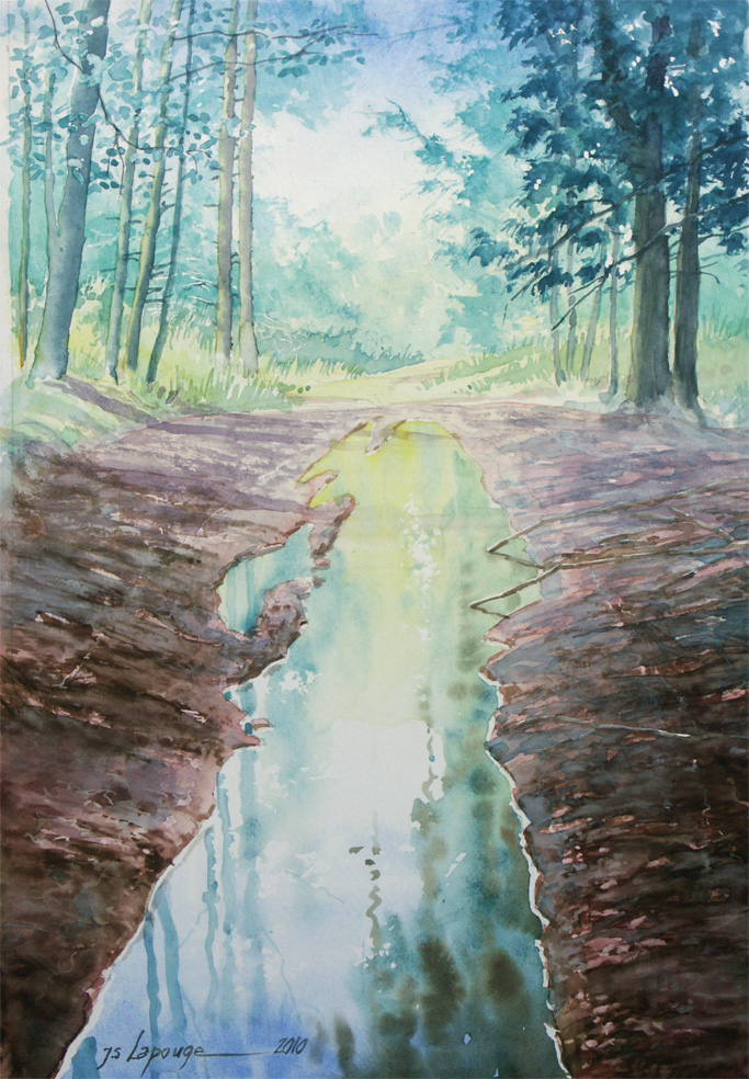 aquarelle, forêt après la pluie
