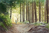 Promenade en forêt, aquarelle