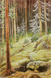 forêt sapins, aquarelle, tableau