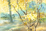paysage de forêt en automne, aquarelle