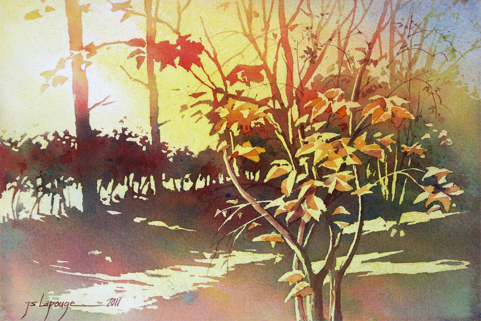 aquarelle, soleil d'automne en sous bois