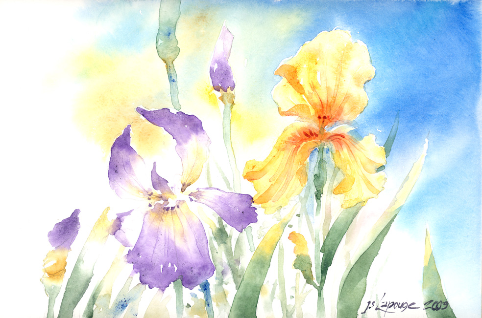 Watercolors, Irises