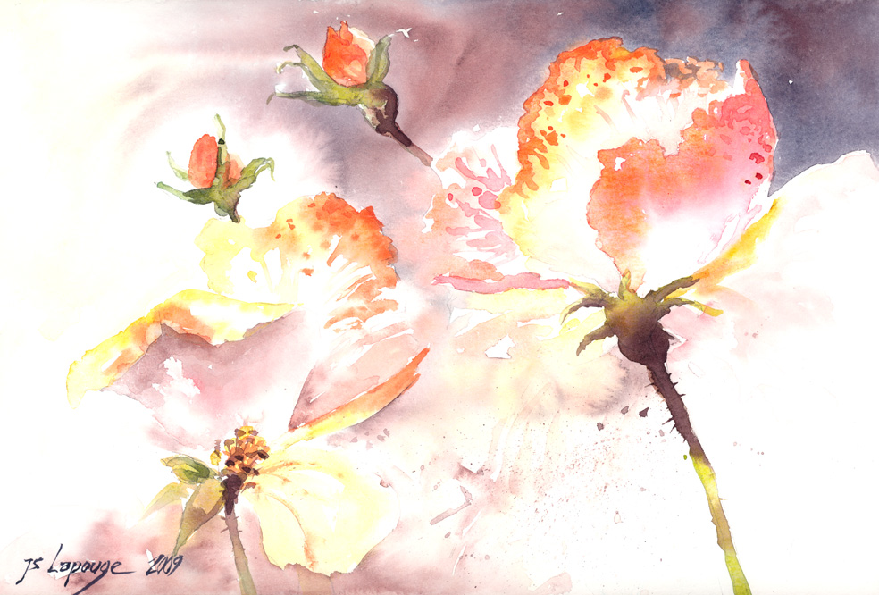 roses in the wind, watercolors