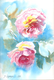 aquarelle de fleurs, roses