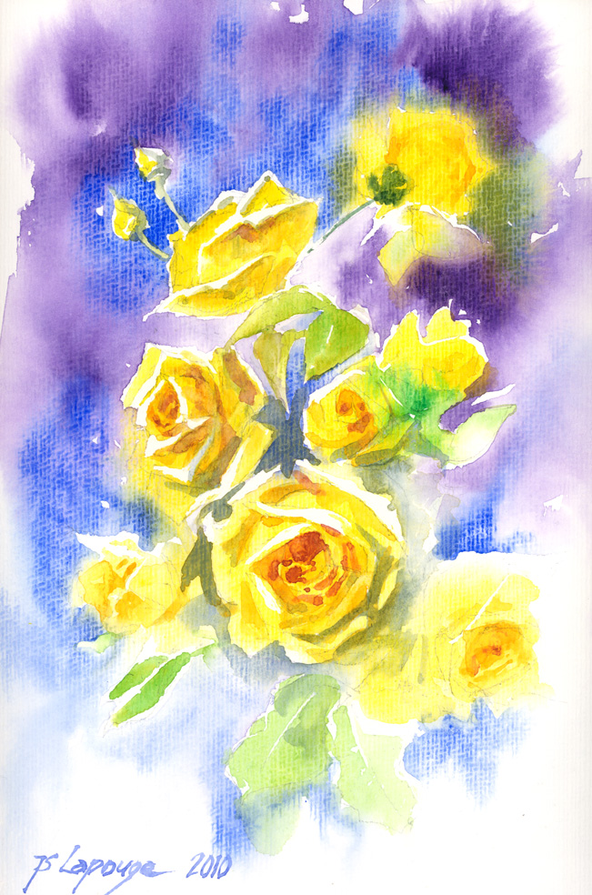 aquarelles, roses jaunes