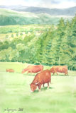 aquarelle paysage avec vaches