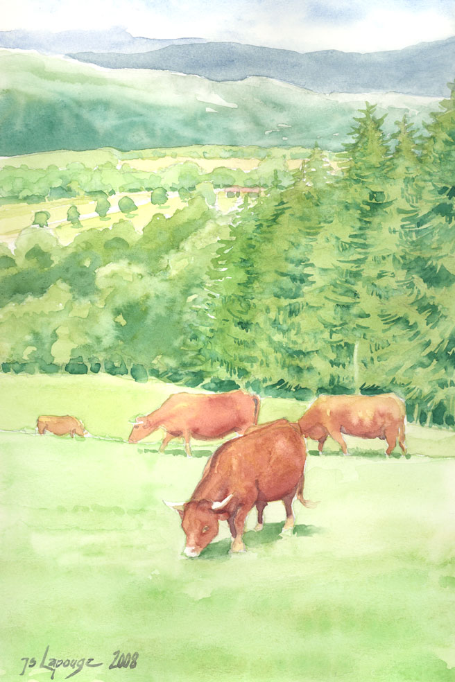 paysage avec vaches en auvergne- aquarelle
